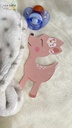 Le-Coffre-aux-etoiles-1920x1080px-fairer-part-naissance-original-Biche-Rose-02
